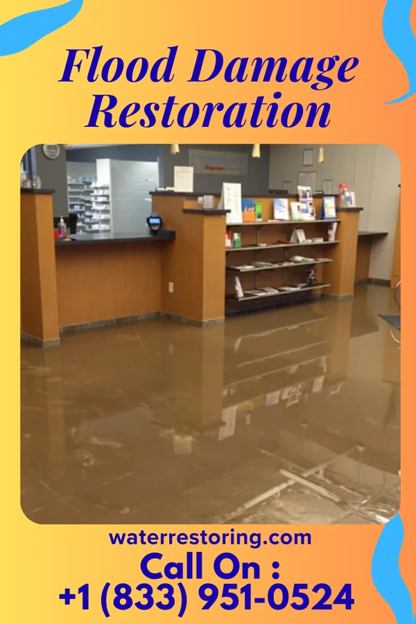 Flood Damage Restoration in Elkhorn, WI