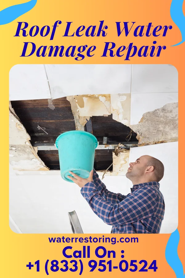 Roof Leak Water Damage Repair in Elkhorn, WI
