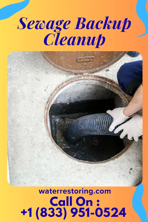 Sewage Backup Cleanup in Elkhorn, WI